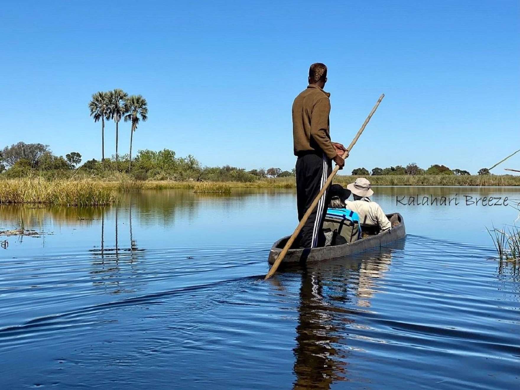 Okavango Delta: mokoro and walking safari from Maun