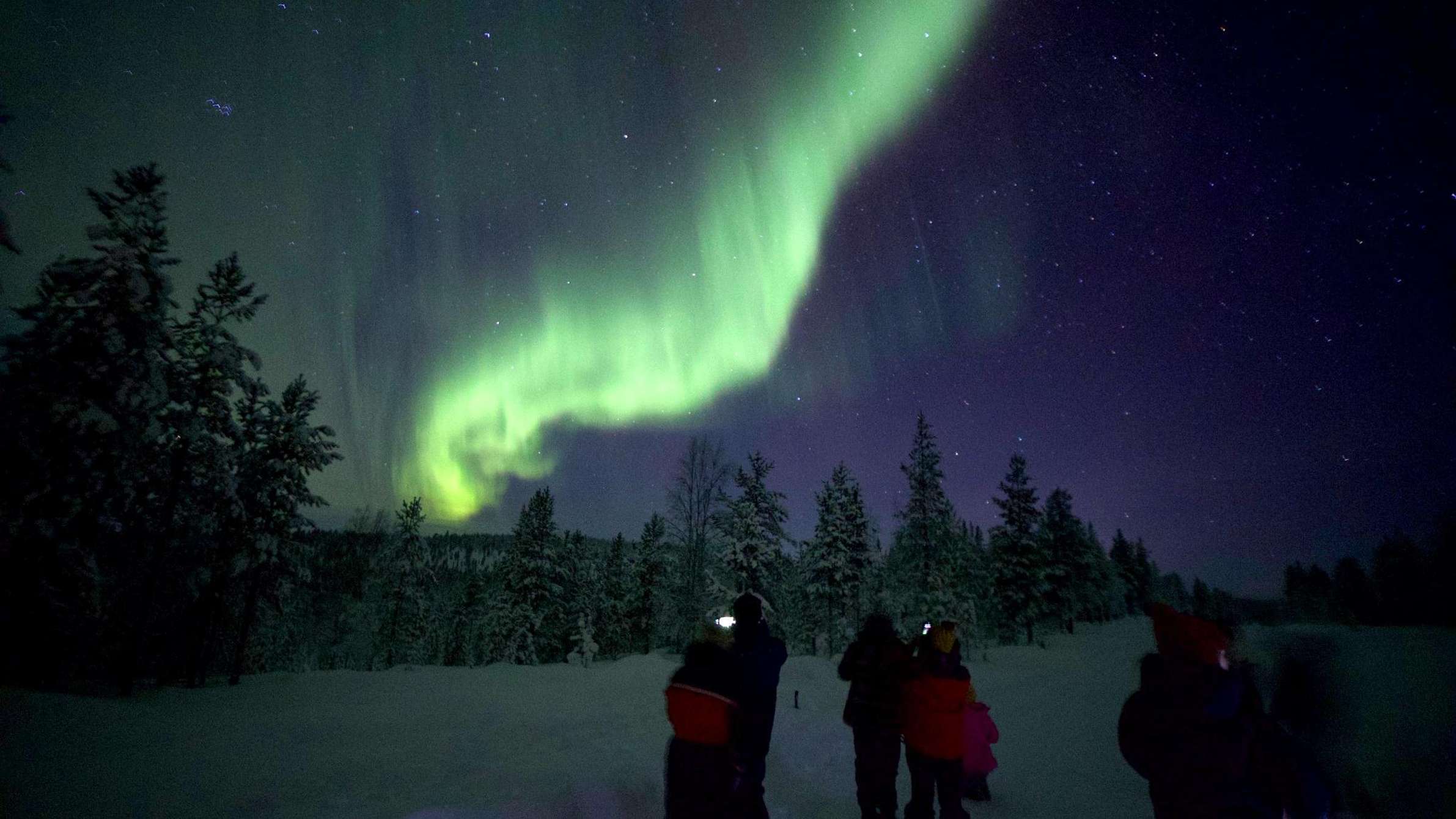 Caza de auroras boreales en coche alrededor de Inari e Ivalo, Laponia finlandesa