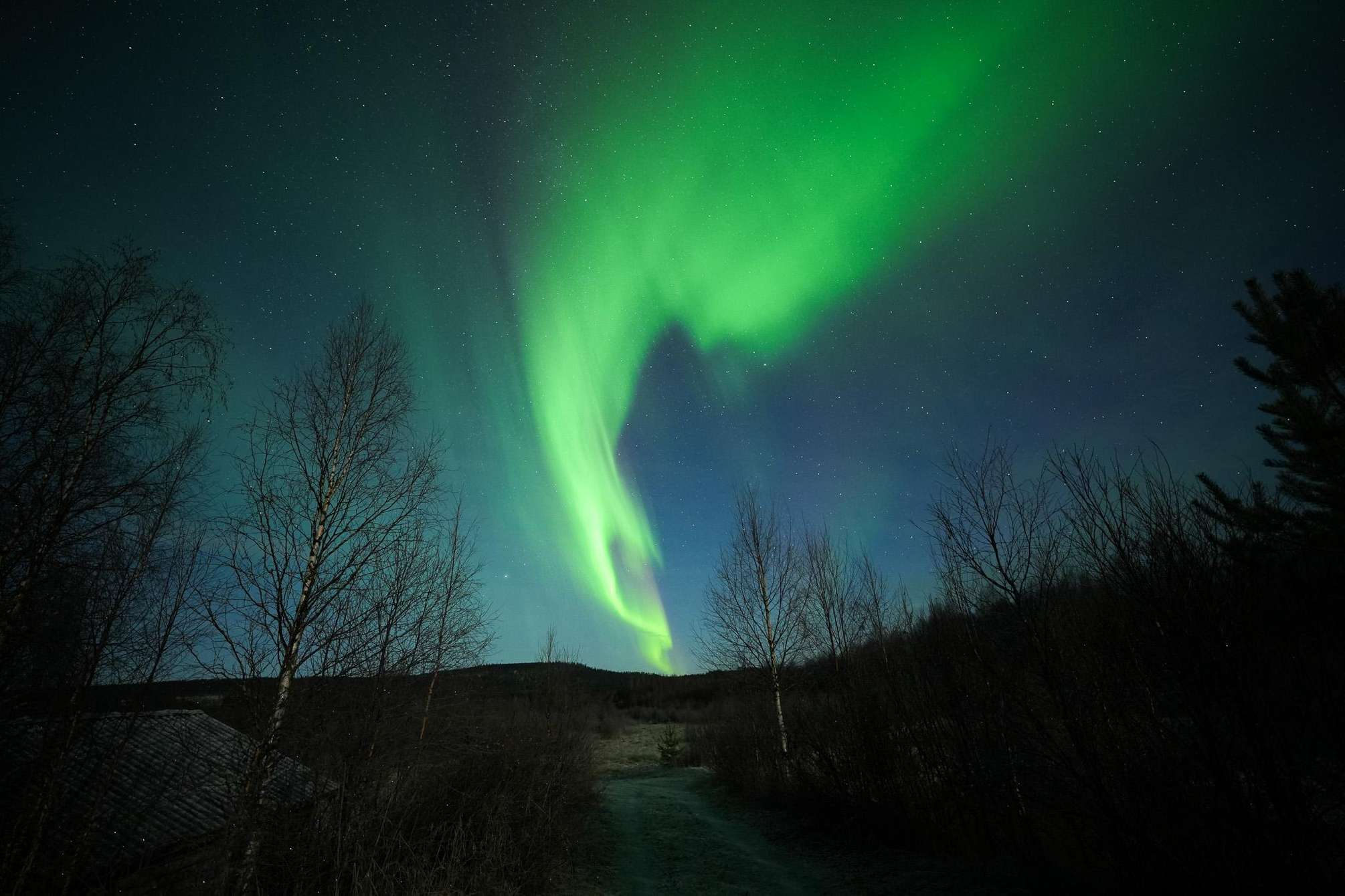 Chasse aux aurores boréales avec Lucy in Lapland depuis Rovaniemi : aurore verte au-dessus d'un lac gelé de Laponie, petit groupe de 7 personnes avec café chaud sous le ciel nocturne arctique