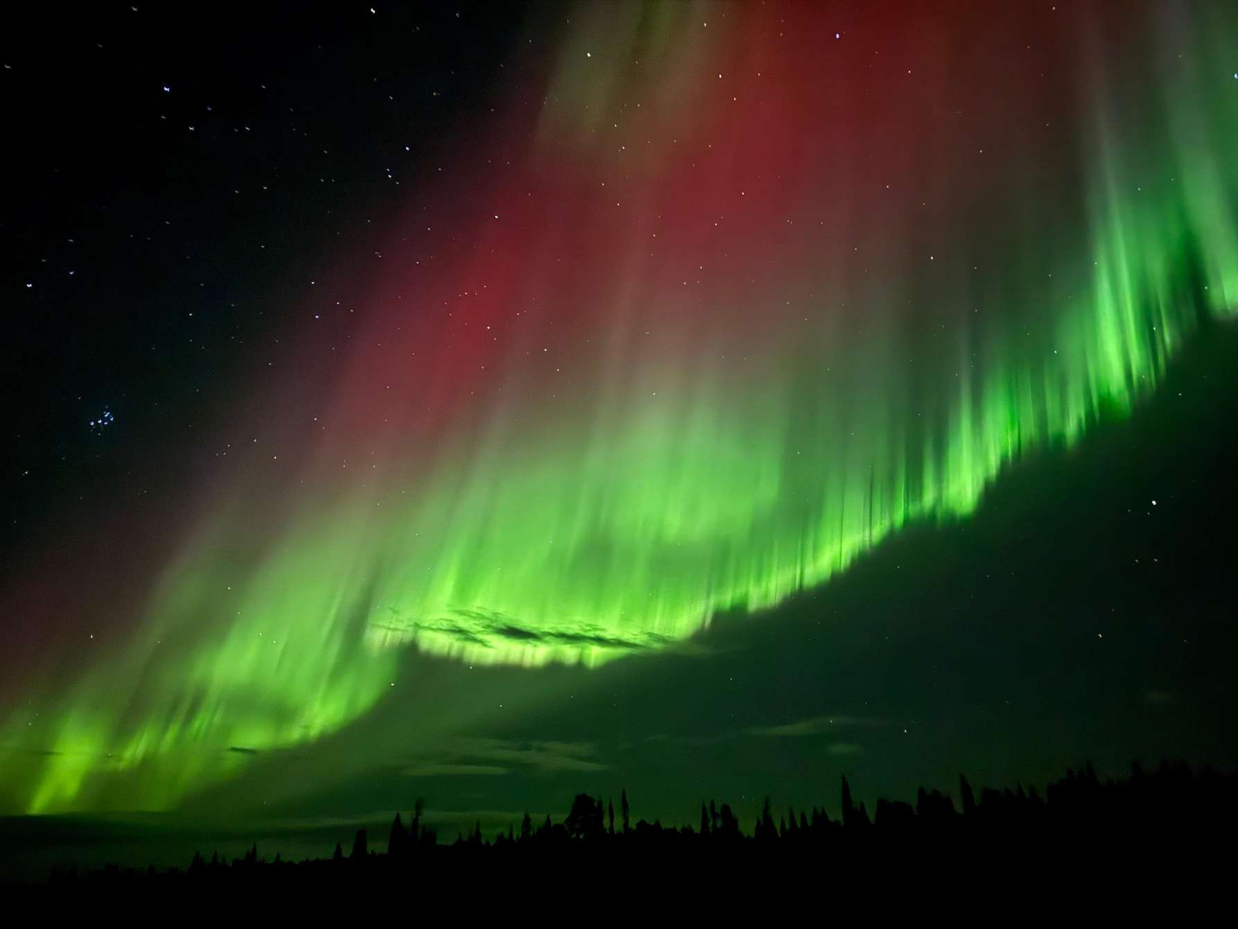 Aurora boreal verde y roja en arco sobre el bosque de coníferas alrededor de Kiruna, en la Laponia sueca