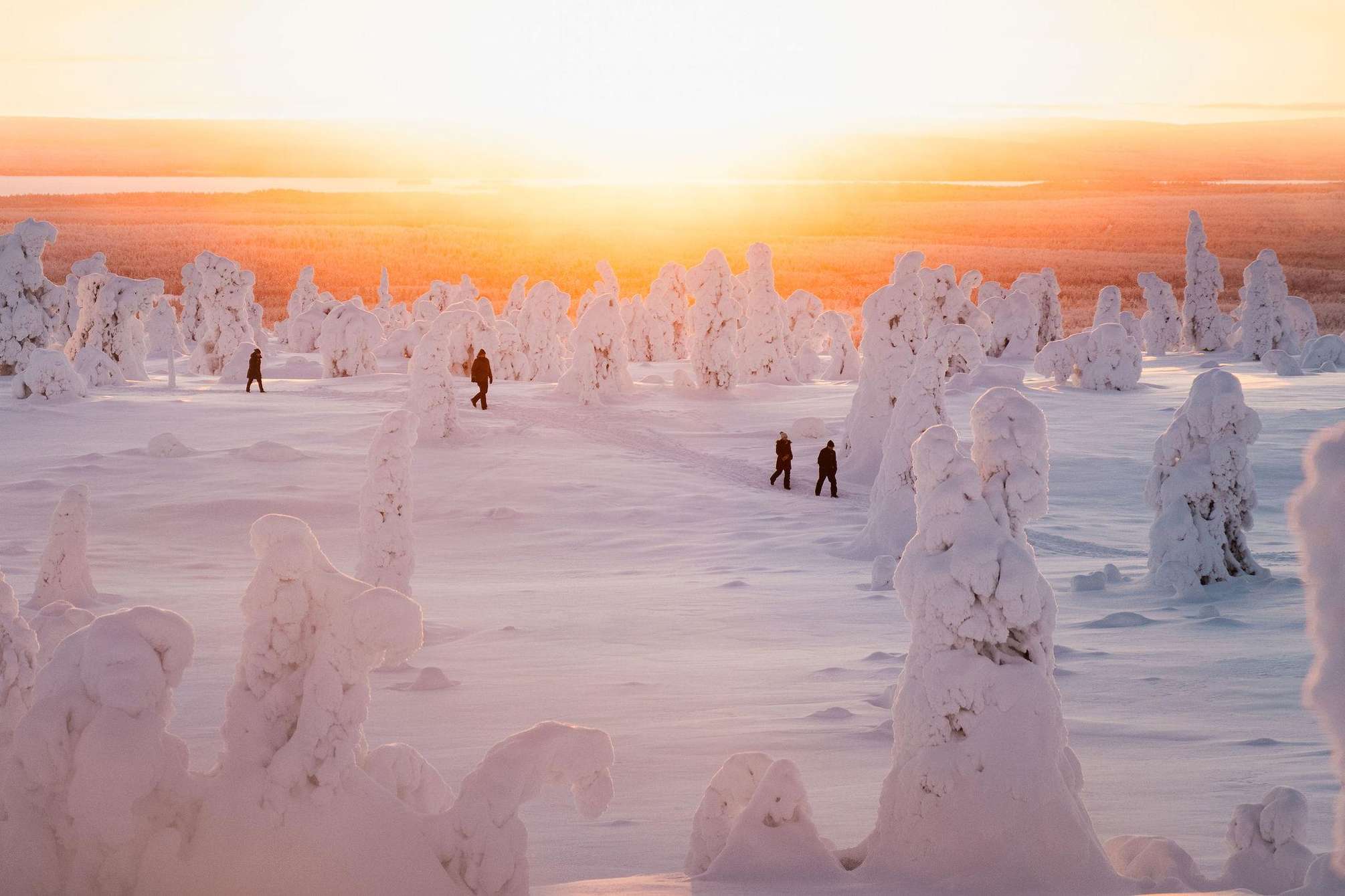 Schneemonster im Nationalpark Riisitunturi in Finnisch-Lappland: komplett unter Raureif begrabene Fichten, die weiße Silhouetten auf den Hügeln bilden, mit Panoramablick auf die zugefrorenen Seen