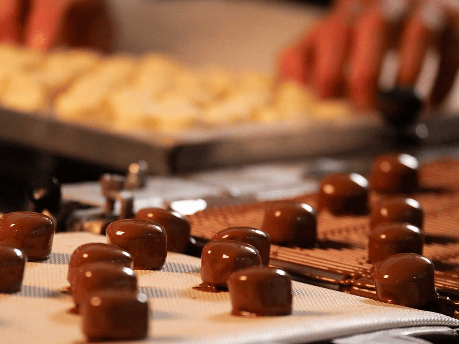 Fabbrica del Cioccolato Artigianale a Perugia
