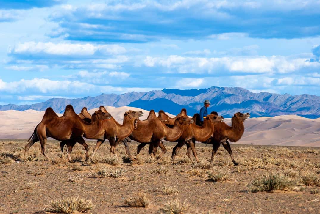 8-Day Gobi Desert and Orkhon Valley tour in Mongolia