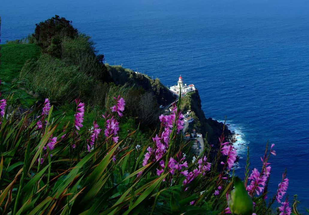 São Miguel Nordeste, Cliffs & Waterfall Day Trip with Lunch