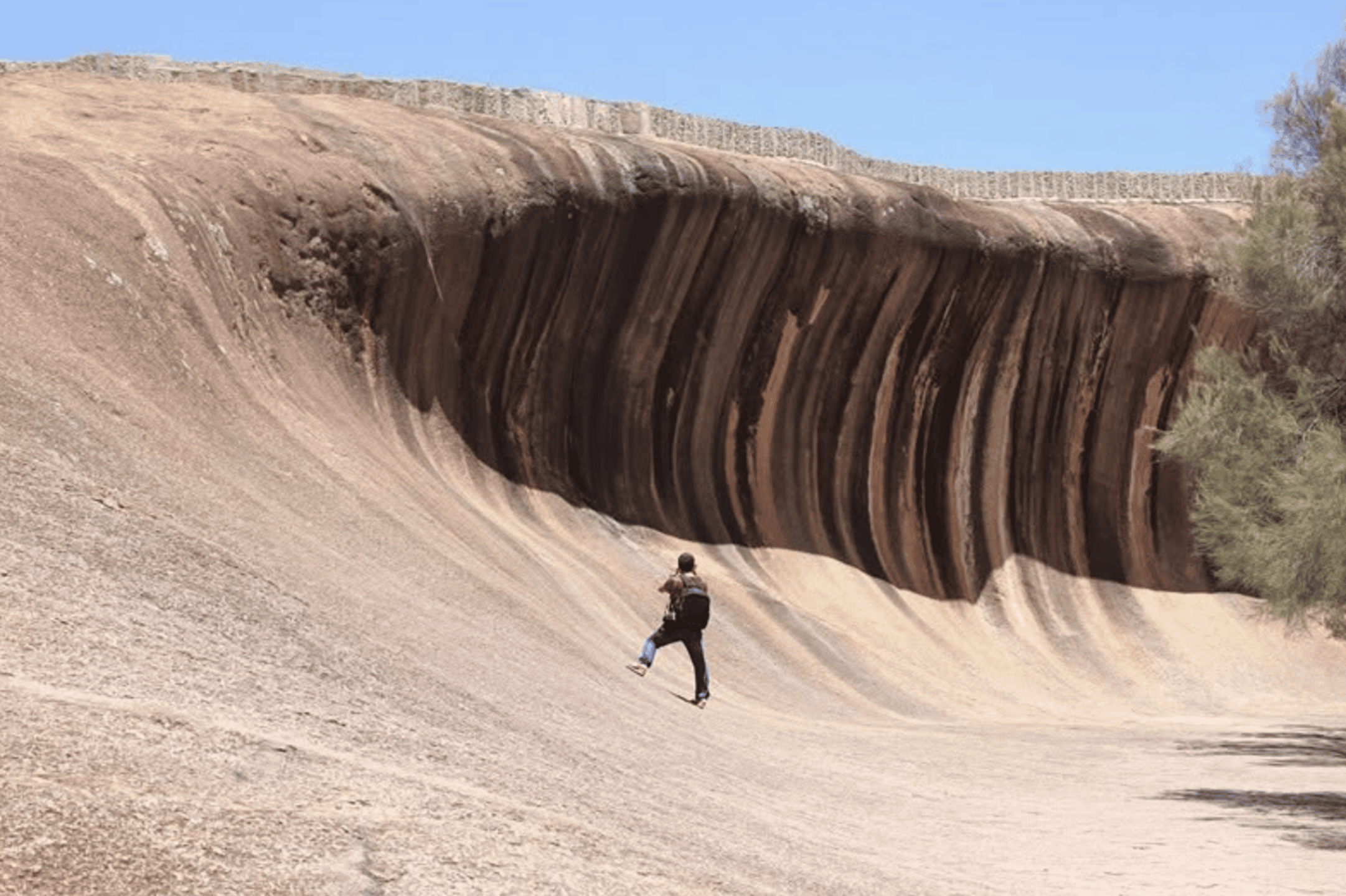 Perth: Wave Rock Scenic Flight and Half-Day Ground Tour