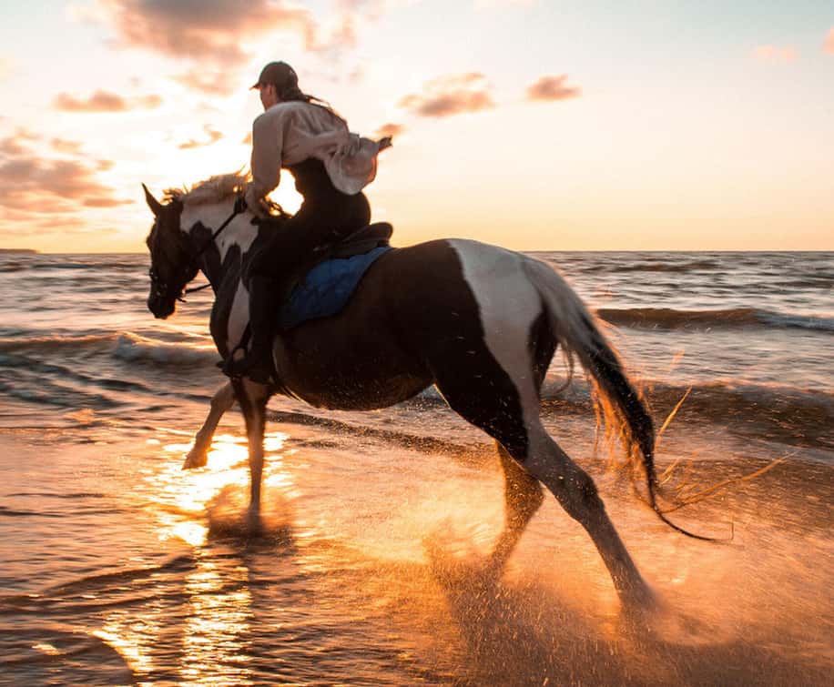 Antalya/Belek: Horseback Riding Through Sandy Forest & Beach