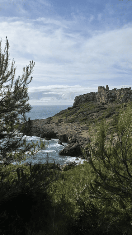 From Lecce: Hike in Porto Selvaggio, Swim & Gallipoli visit