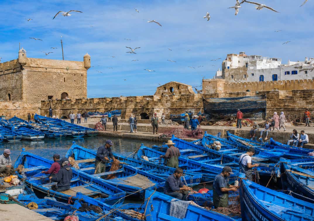 Marrakech: Day Trip to Essaouira - Beach, Medina & Ramparts