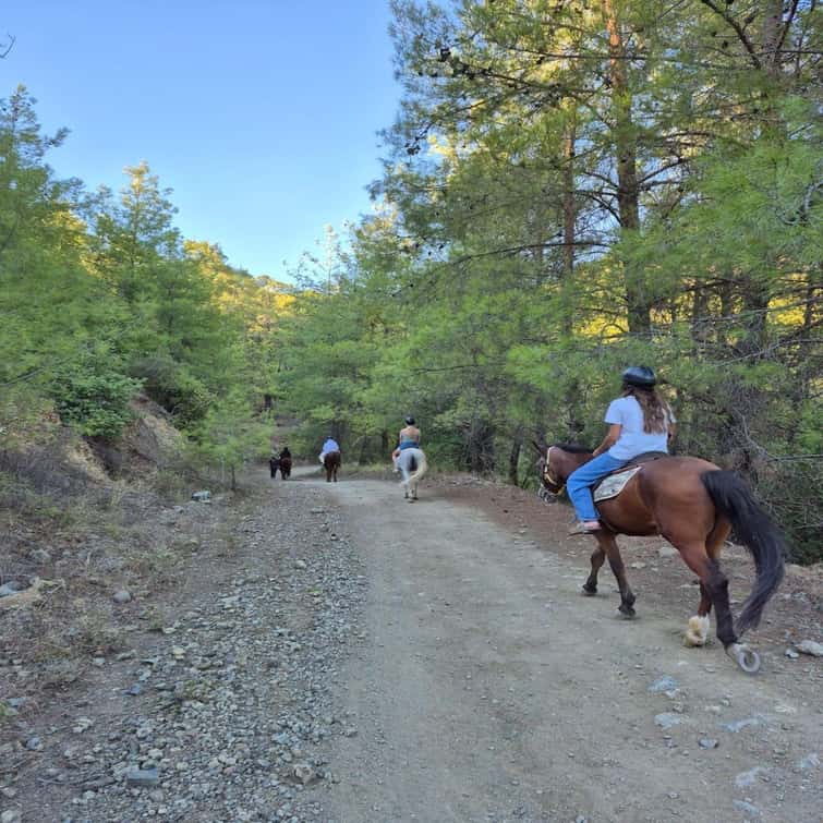 Scenic Horseback Riding Tour with Pickup 1