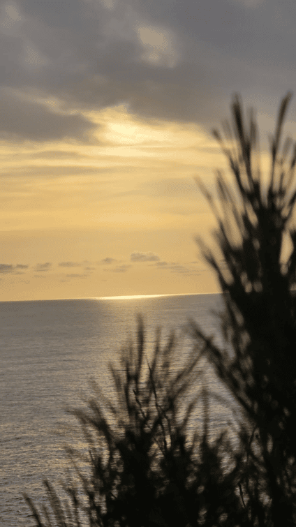 From Lecce: Hike in Porto Selvaggio, Swim & Gallipoli visit 3
