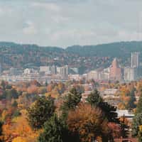 Best way to get around Portland: Helpful tips and tricks