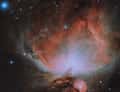 Orion nebula astrophoto