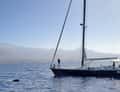 Sailboat, calm sea