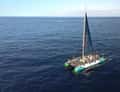 Catamaran with sail on open sea