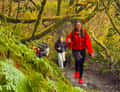 Woman in red jacket hiking in Anaga forest