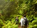 Two hikers in laurel forest