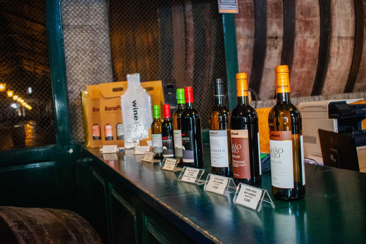 Colares: Wine with Atlantic Roots — 4