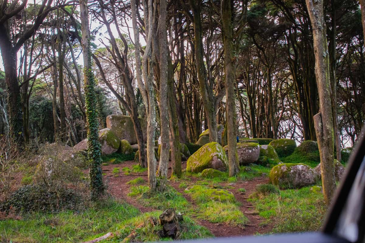 Sintra: Peninha & the Atlantic Horizon — 4