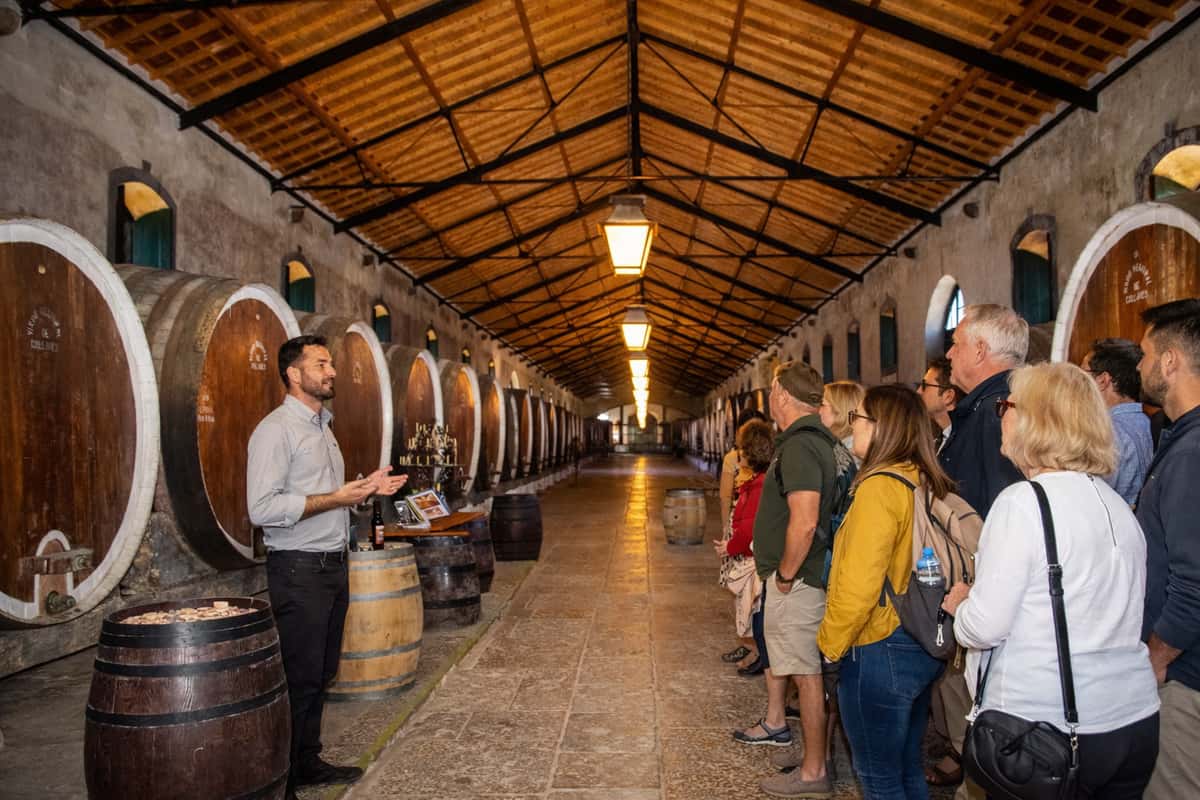 Colares: Wine with Atlantic Roots — 2