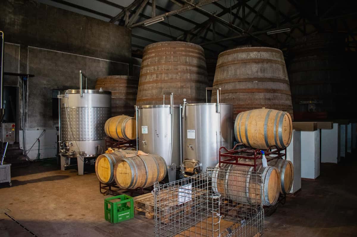 Colares: Wine with Atlantic Roots — 3