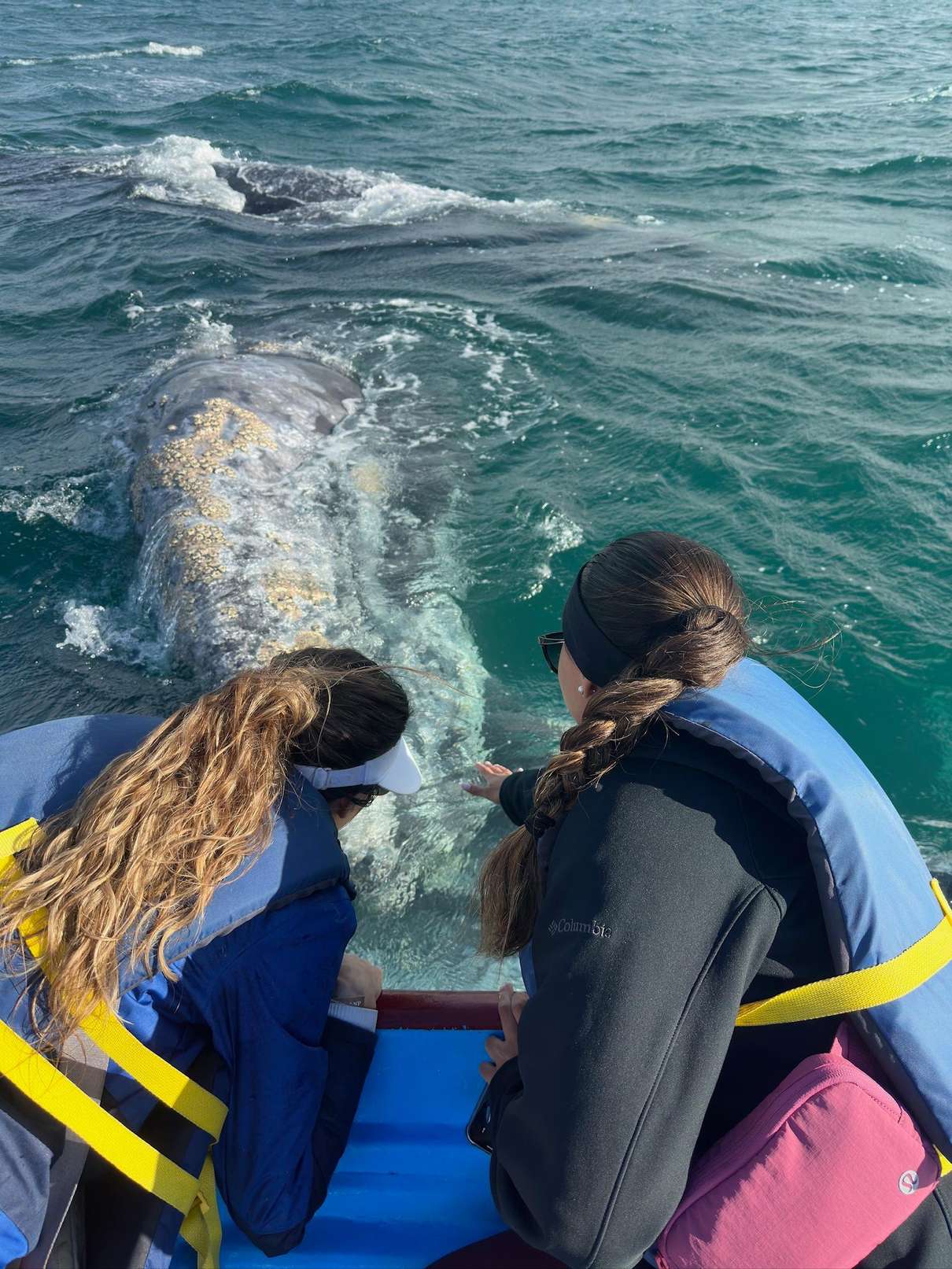 Whale watchers in a small boat on Magdalena Bay near San Carlos on a full-day trip from Loreto