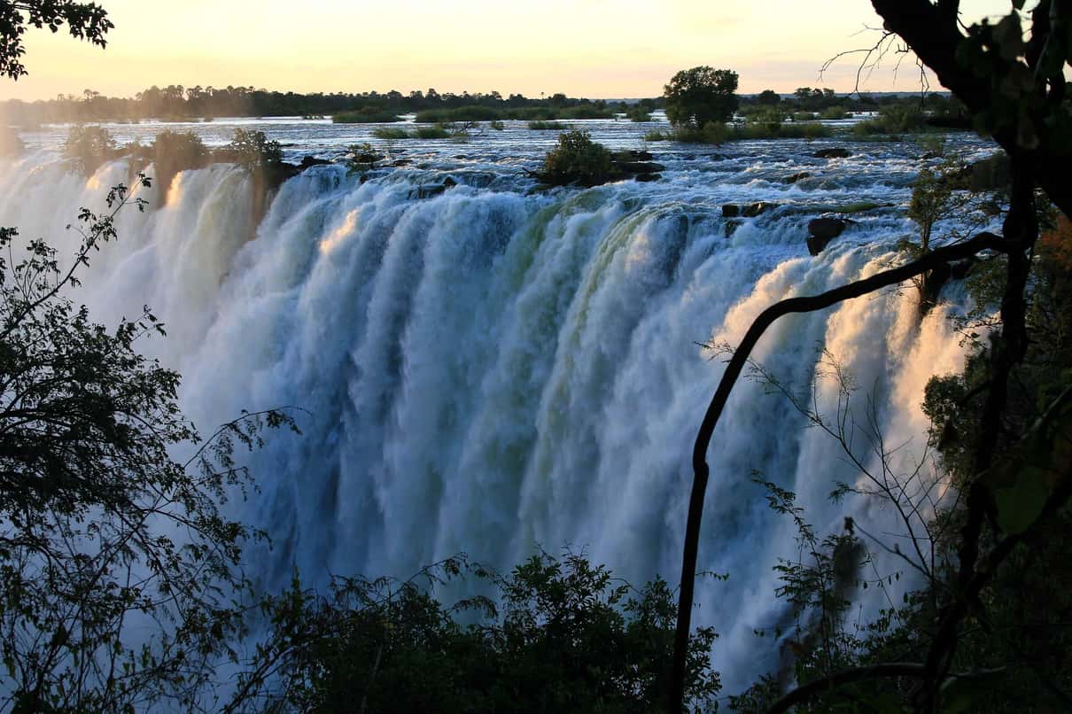 Victoria Falls: guided rainforest walk – Guided walk Victoria Falls: guided rainforest walk