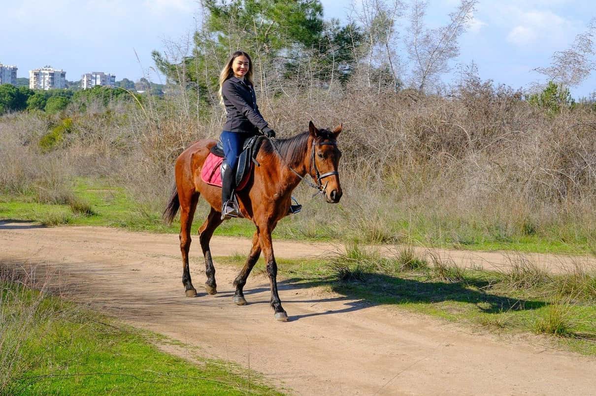 Antalya/Belek: Horseback Riding Through Sandy Forest & Beach 1
