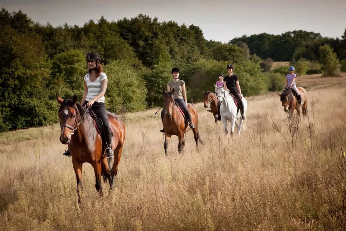 Alanya: Horse Riding Tour with Hotel Transfers 1