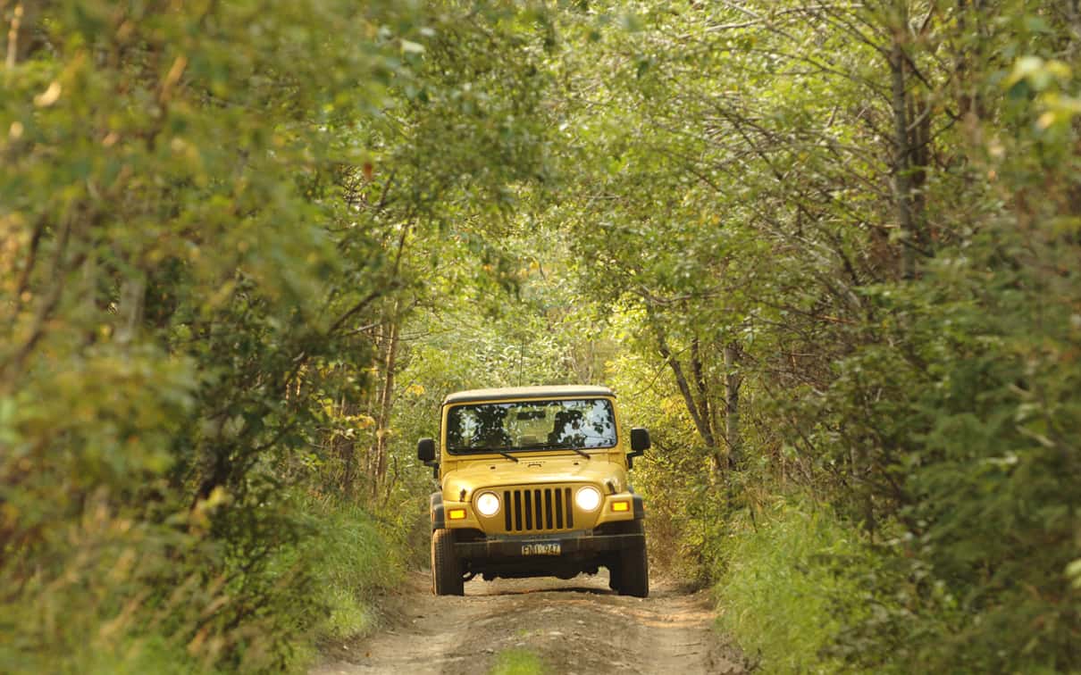 Kemer: Jeep Safari Tour with Lunch at Riverside 4