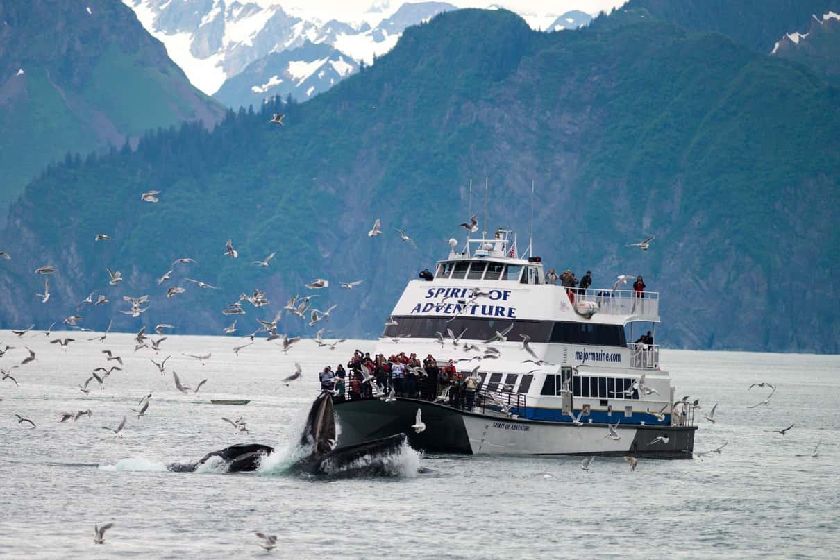 Extended glacier cruise boat near an active tidewater glacier in Kenai Fjords
