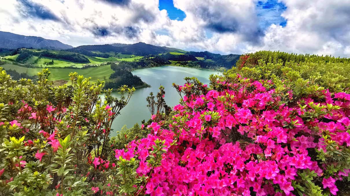São Miguel: Volcanoes, Lakes & Hot Springs 2-Day Tour
