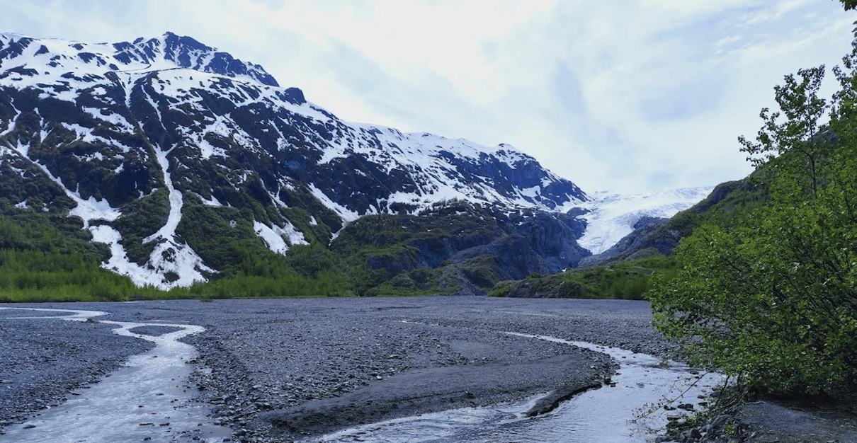 Guided nature hike on the forest trail toward Exit Glacier in Kenai Fjords National Park