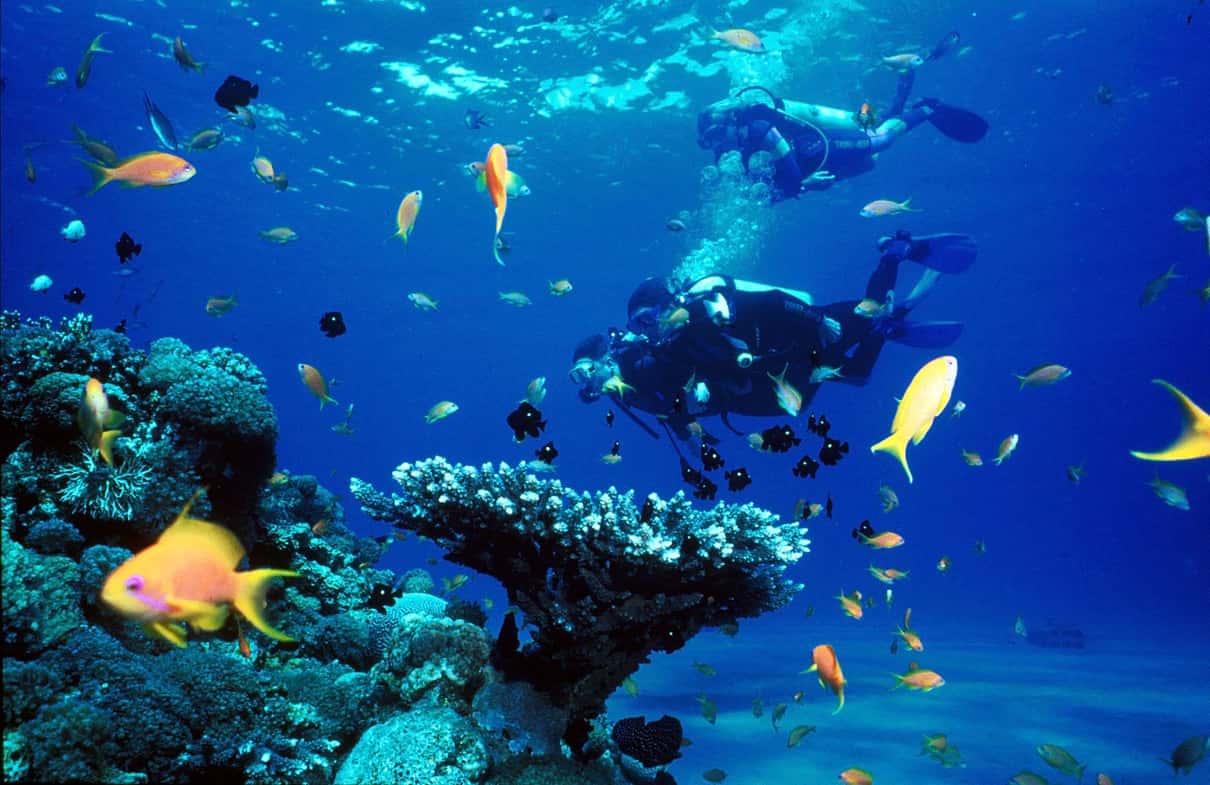 Kemer Scuba Diving with Expert Diving Option 3