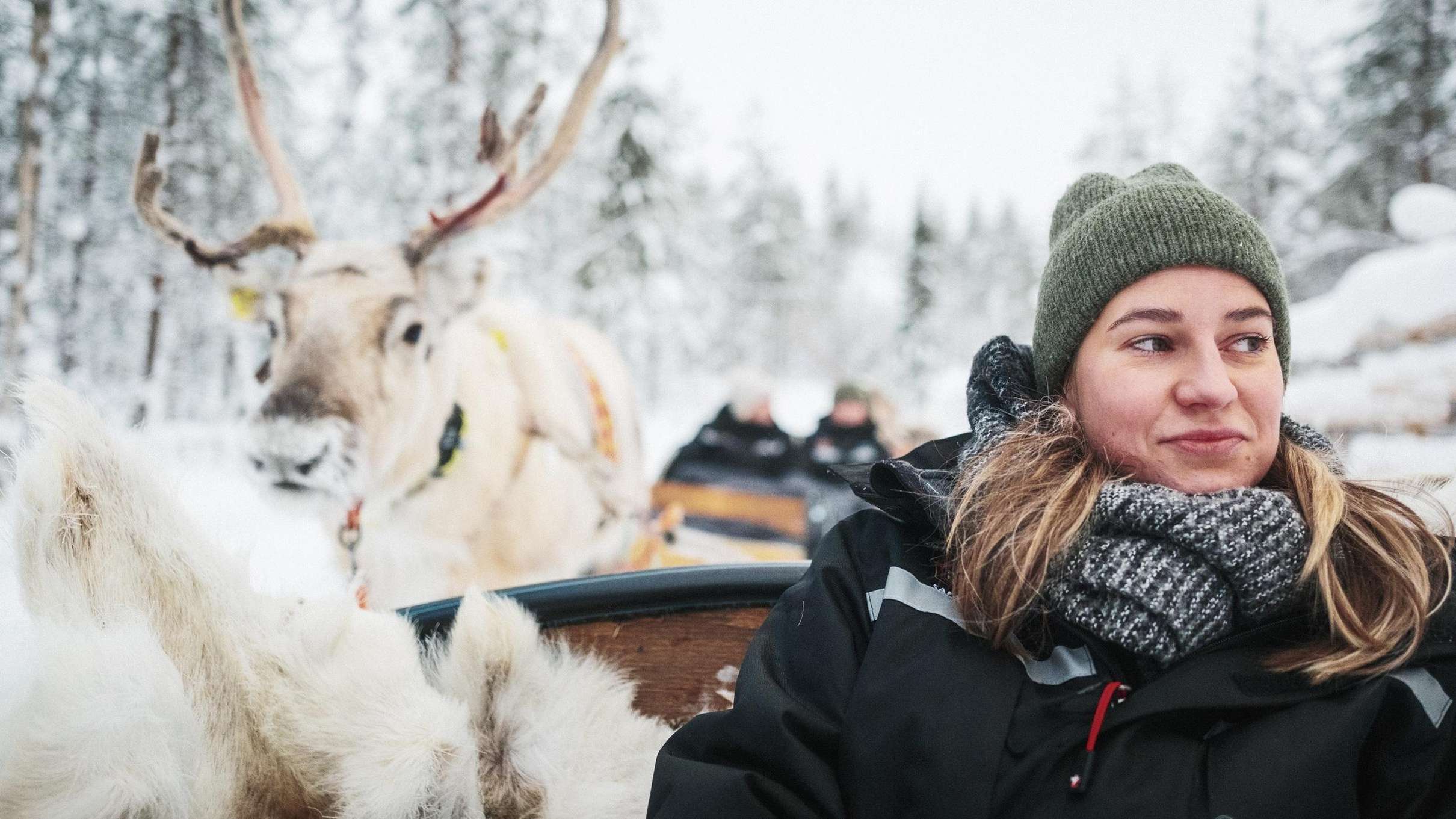 Rentierschlittenfahrt durch den verschneiten Wald bei Rovaniemi: angespanntes Rentier zieht einen Schlitten mit Decke und Rentierfell, danach Rentiere füttern und Pause am Holzfeuer auf einer lappländischen Farm
