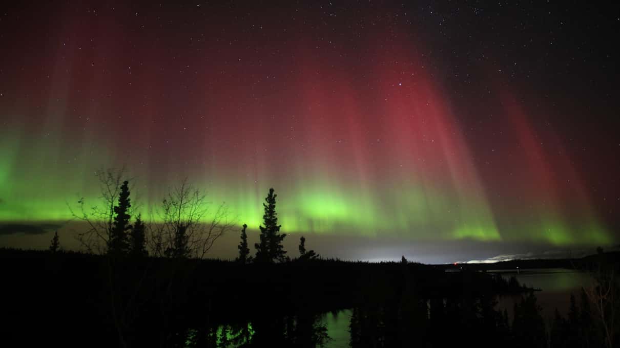 Red and green aurora curtains rising over a low spruce treeline outside Yellowknife