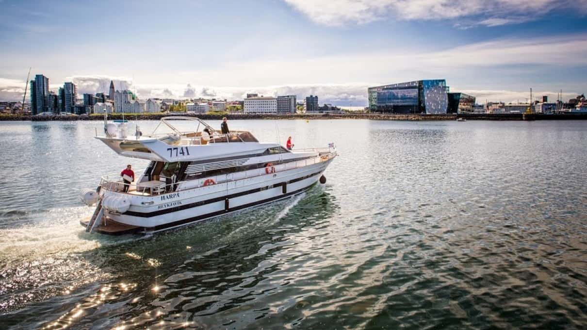 A sleek white motor yacht cruising out of Reykjavik harbor with Harpa concert hall behind it