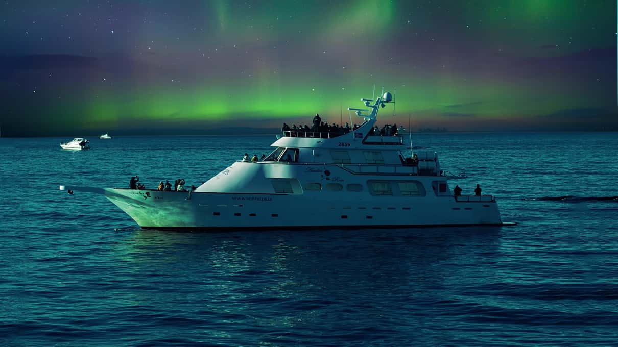 A white yacht with its decks lit, sailing on the dark bay under a wide green aurora