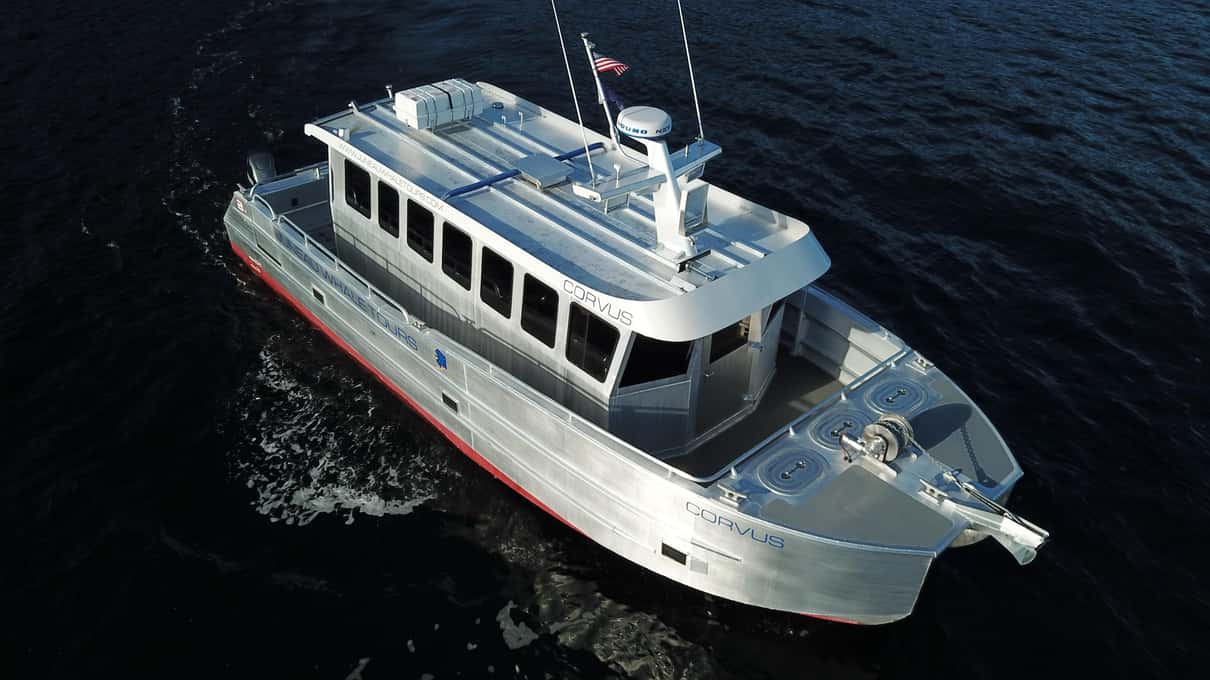 מבט מהאוויר על הקטמרן הלבן של Juneau Whale Tours חוצה מים כהים בתעלה ליד ג׳ונו