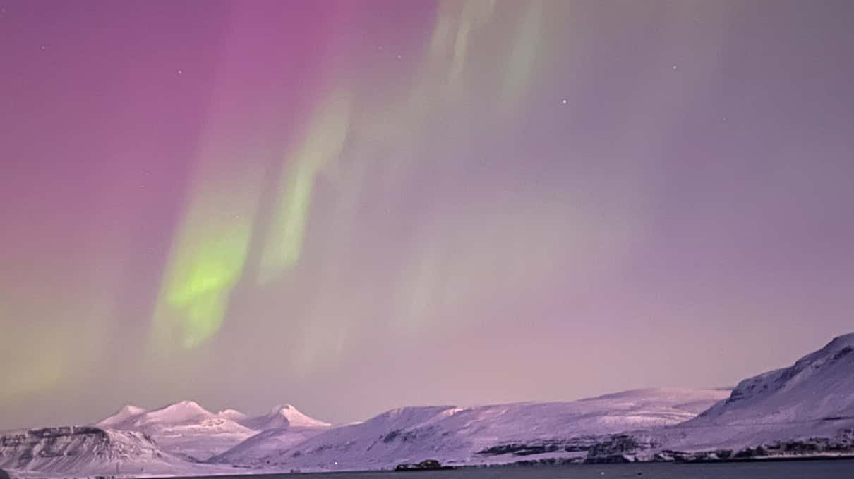 Green northern lights over snowy hills in a pink twilight sky near Hvammsvik