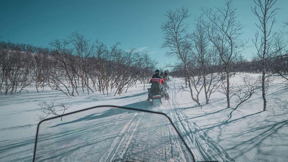 A snowmobile trail through bare birches on the way up to the plateau, seen from the driver's seat