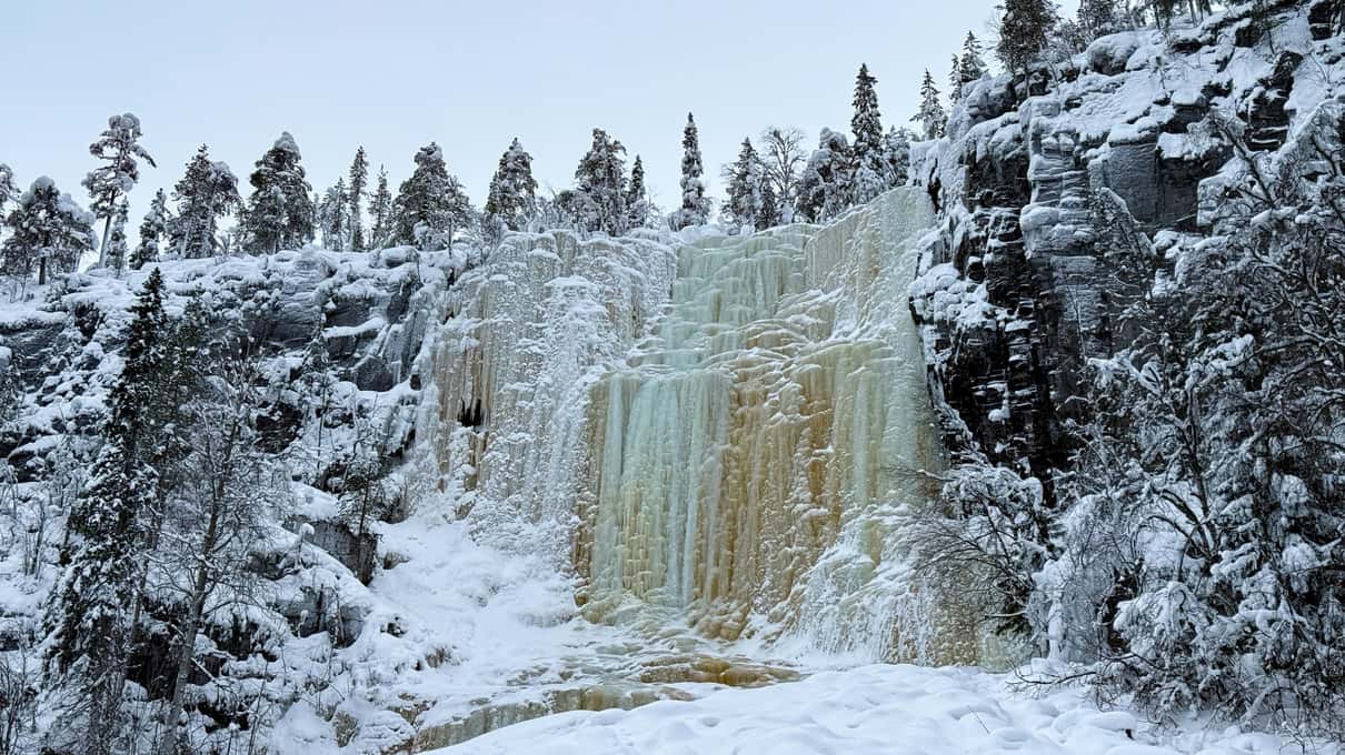 An amber-streaked frozen waterfall on a Korouoma cliff wall above snow-covered spruce trees