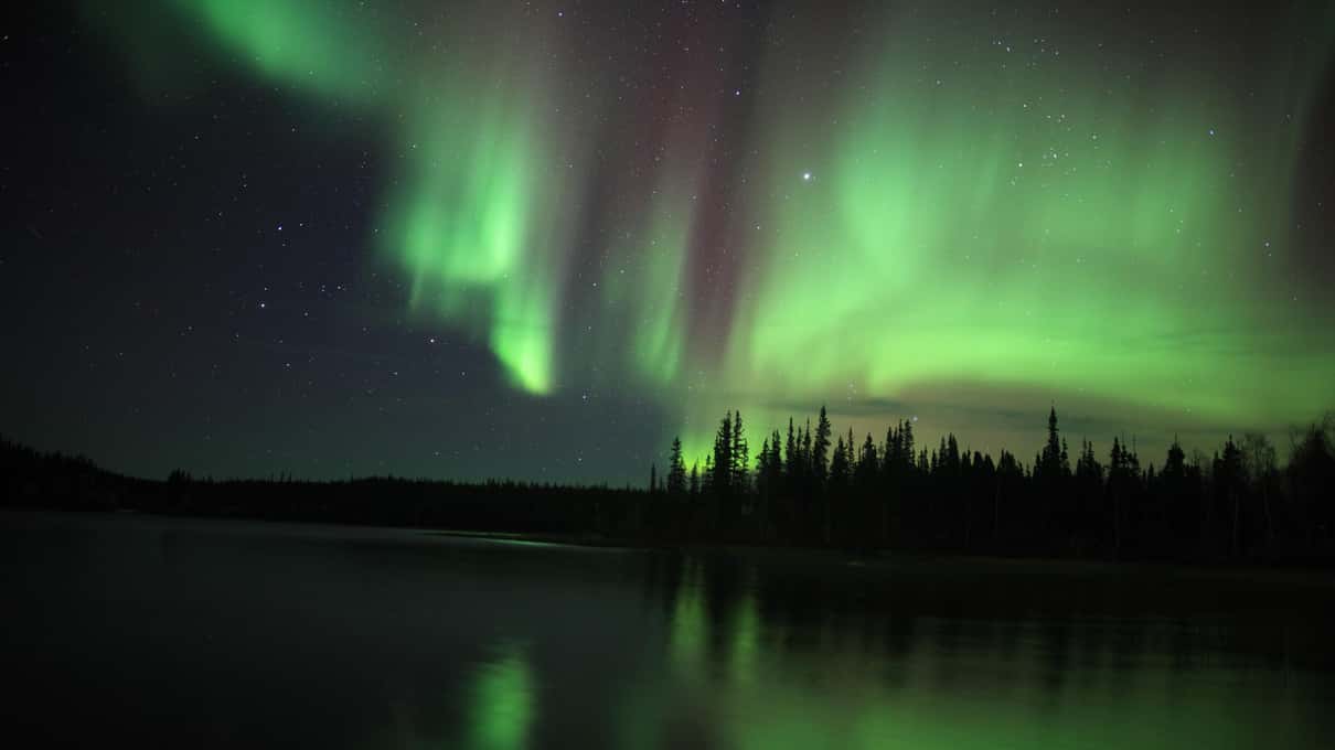 Green aurora over a frozen lake on the Ingraham Trail with a dark treeline on the far shore