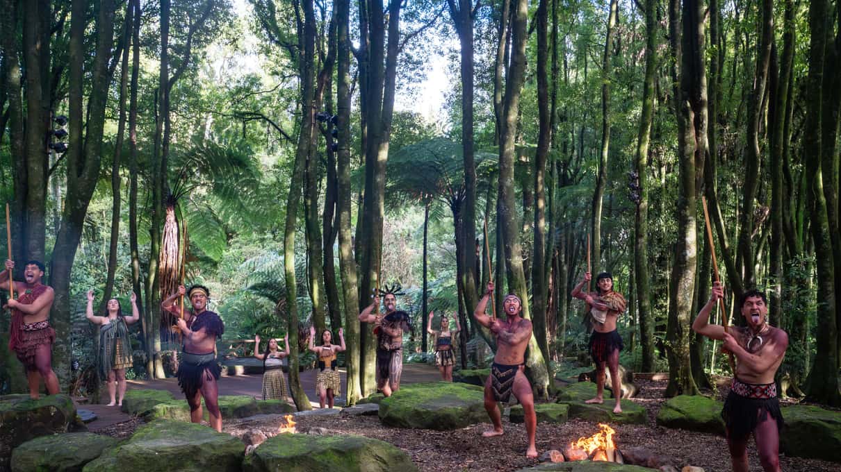 Performers in traditional dress standing among the tall tawa trees of the forest at Te Pā Tū