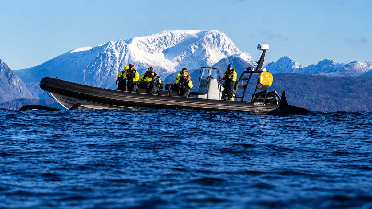 Guests in thermal flotation suits on an open RIB speedboat beneath a snow-covered mountain and blue sky