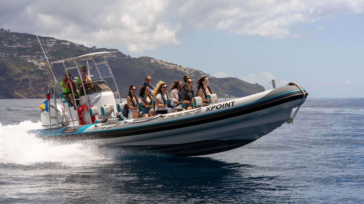 Xpoint's RIB full of guests speeding along the Madeira coast with white spray trailing behind it