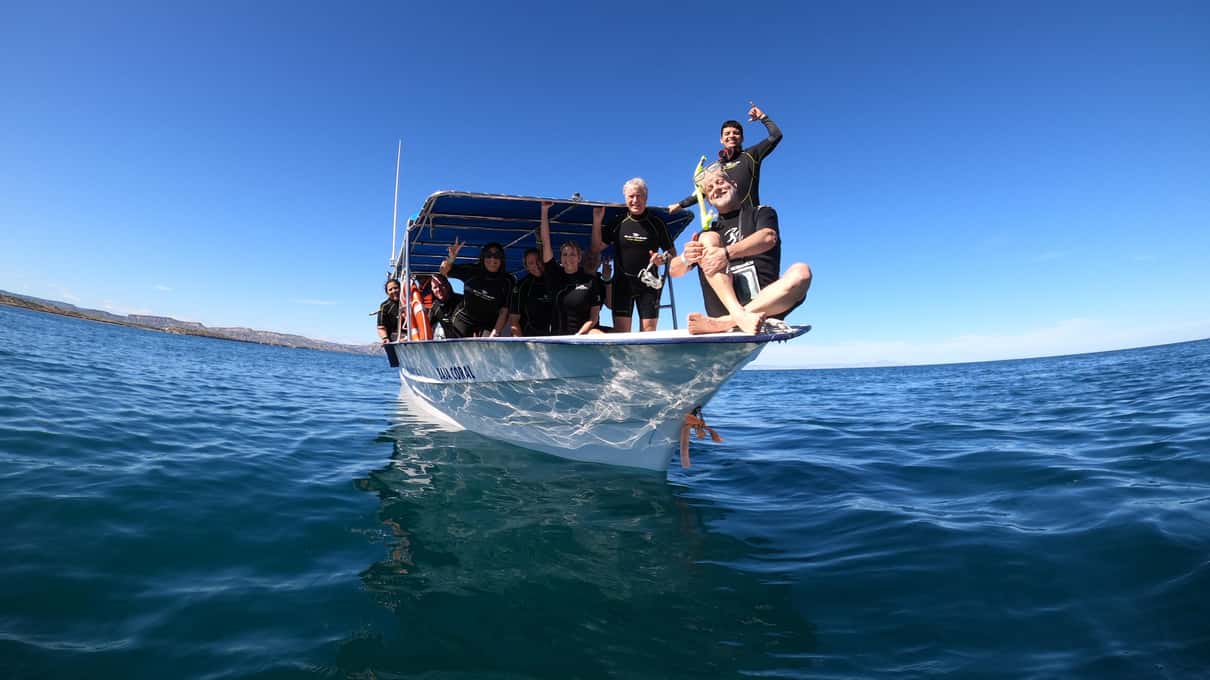 Guests in swimwear posing on the bow of a white panga on a calm blue bay near La Paz