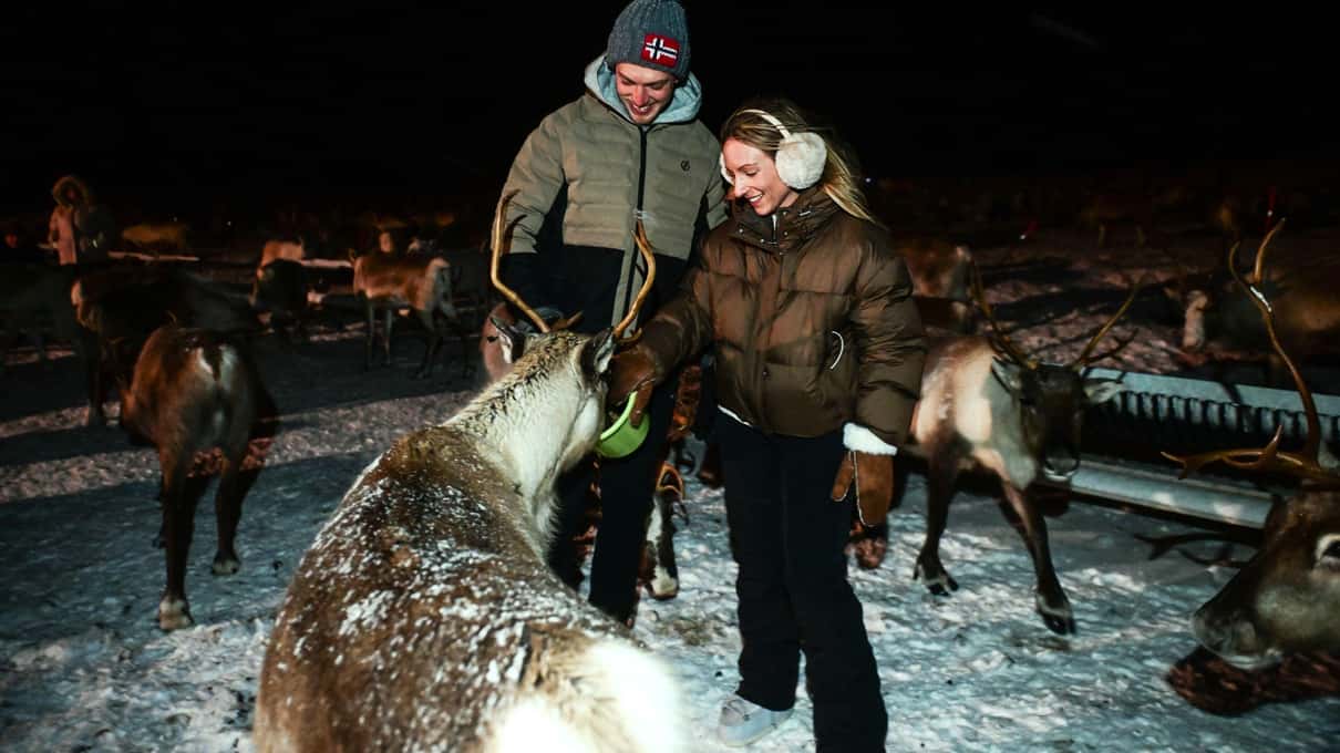 Two guests in winter jackets feeding a reindeer by hand at night in a snowy camp