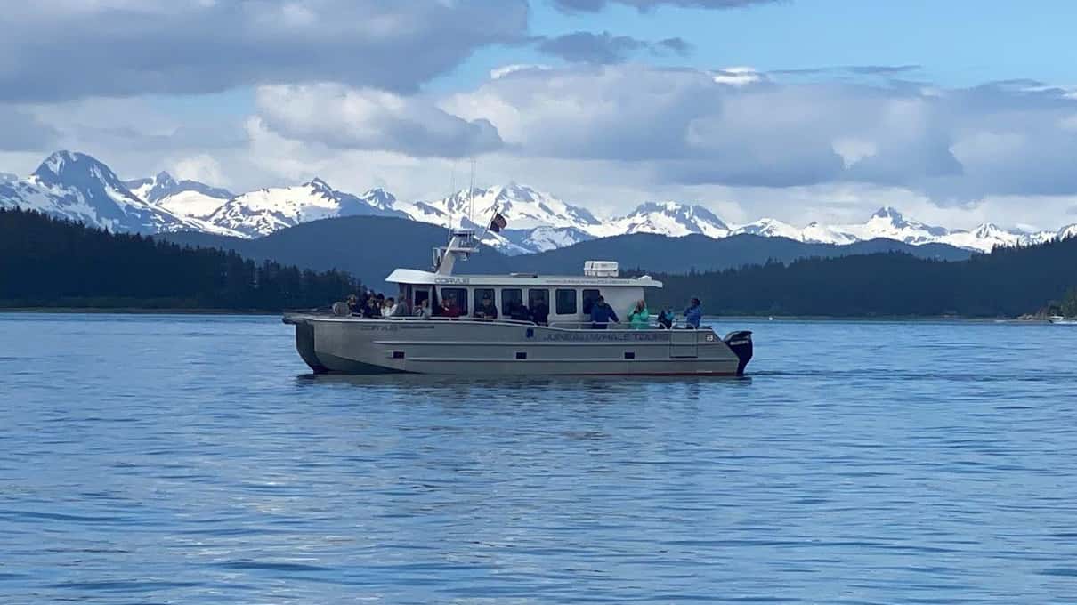 Een witte catamaran op kalm water voor besneeuwde bergen