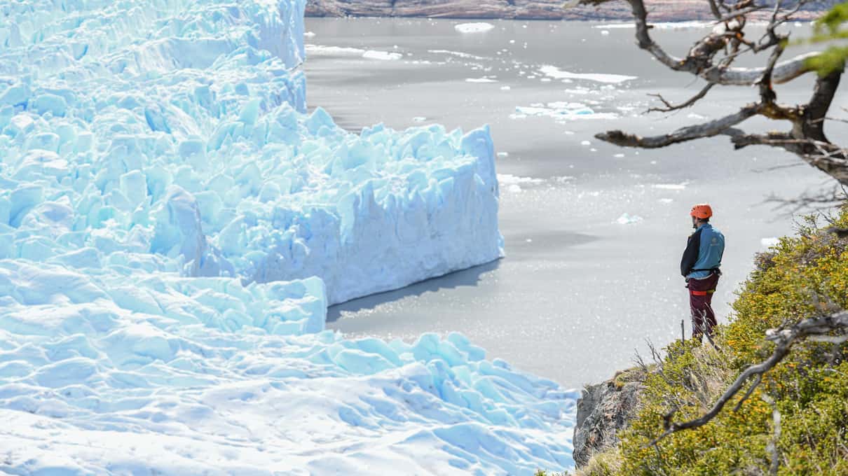 The blue and white ice wall of Perito Moreno Glacier with a tiny hiker standing beside it for scale