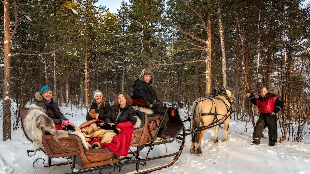 Guests wrapped in blankets on a wooden sleigh pulled by a pale Fjord horse through a snowy pine forest